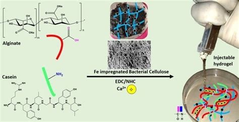 Effect of Iron-Oxide Nanoparticles Impregnated Bacterial Cellulose on ...