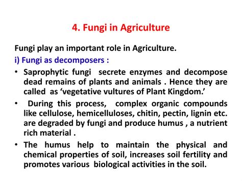 Economic importance of fungi SMG | PPTX