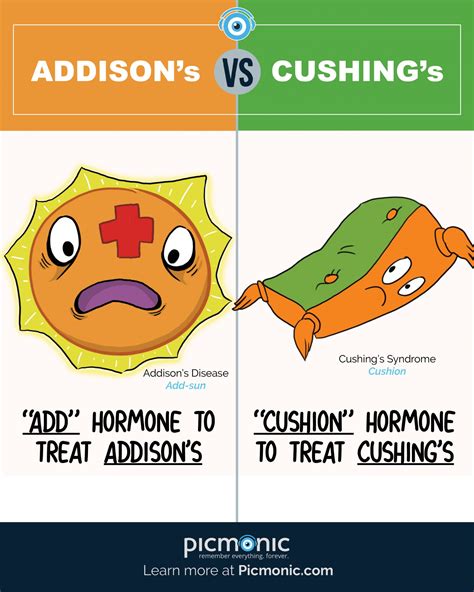 Cushing's Vs Addison's