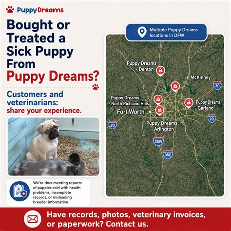 Have You Encountered Sick Puppies Sold by Puppy Dreams? — Our Honor