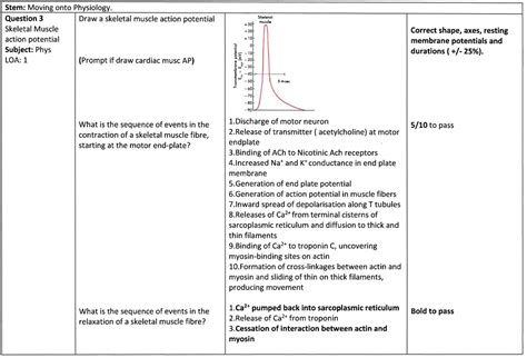 Image result for Skeletal Muscle Action Potential Graph