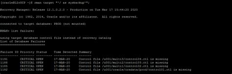 Image result for Control Files in Oracle