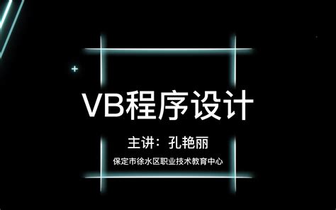 Visual Basic VB 的图像结果