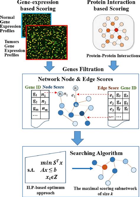 Image result for Interval Optimization Io Method