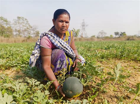 Invest Odisha :: CSR Portal