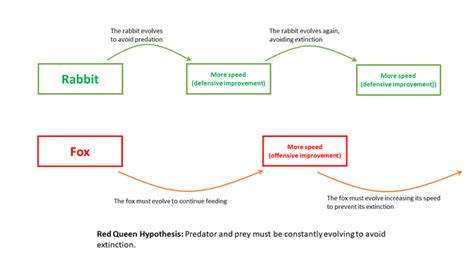 Red Queen Hypothesis | Encyclopedia MDPI