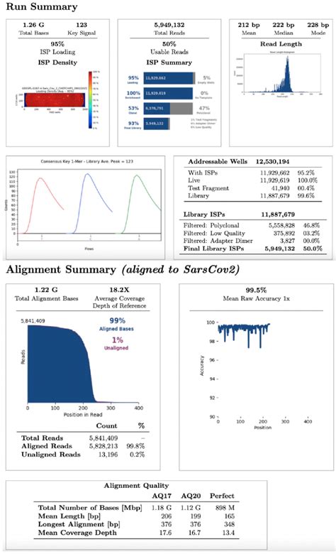 Different Strategies for the Identification of SARS-CoV-2 Variants in ...