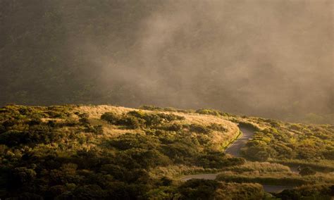 Data Structure Programming 的图像结果