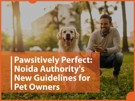 Every Pet Owner in Noida Must Read: Noida Authority Establishes ...