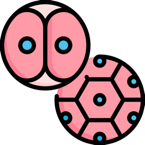 Cell division - Free education icons