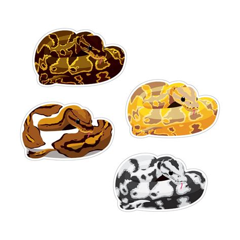 Image result for Ball Python Fabric