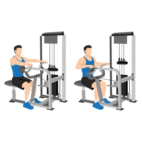Man doing seated back row machine exercise. 24792836 Vector Art at Vecteezy