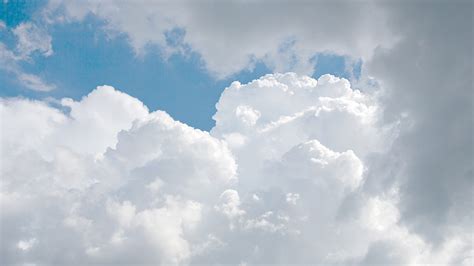 Image result for Cloud-Based Practice Management Software