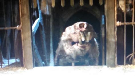 Image result for Rous Princess Bride