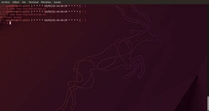 Image result for Shell Script Que ES
