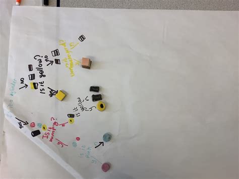 Image result for Pupil Classification Key