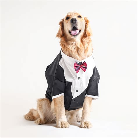 Dresses For Dogs | Dog Clothing | Dog Accessories | Barks and Wags ...