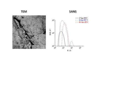 Dose Dependence of Micro-Voids Distributions in Low-Temperature Neutron ...
