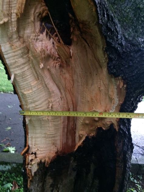 Severe Weather Summary for Friday, July 20, 2018