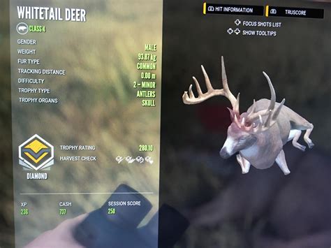 What Is A Diamond Whitetail Deer In Hunter Call Of The Wild at Shawna ...