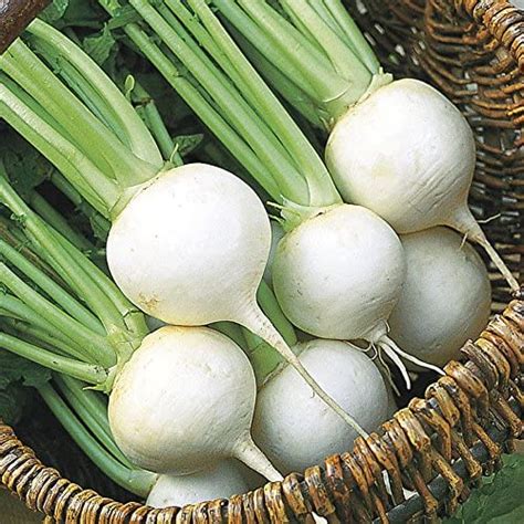 Green World Turnip White Special No 1 For Kitchen Gardening (10 Seed ...