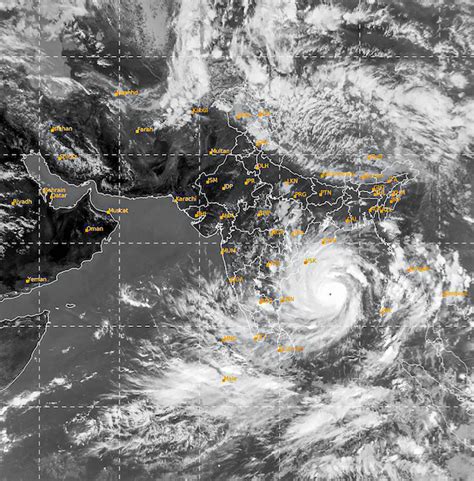 The Wire: The Wire News India, Latest News,News from India, Politics ...