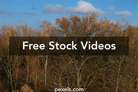 Weather Clips 的图像结果