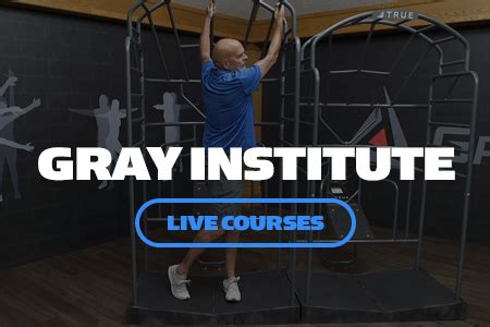 OPT Model Explained 的图像结果