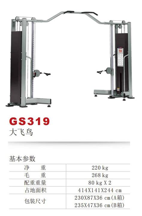 杰森大飞鸟训练器GS319【价格 批发 公司】-广州市杰森健身器材有限公司