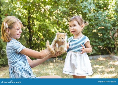Girl play with kitten stock image. Image of childhood - 81046347