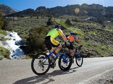 Timeshares & Time Share Exchange Service-DAELive.com