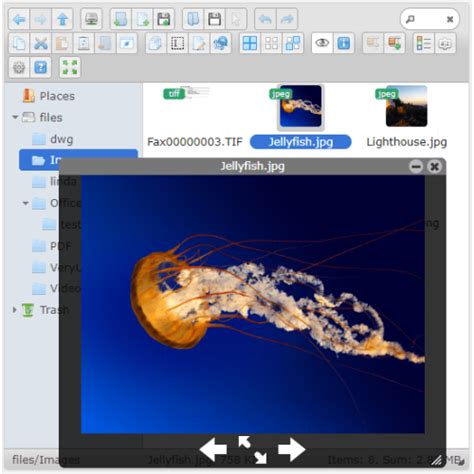Image result for jQuery File Manager