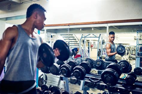 Vertical Diet Explained 的图像结果