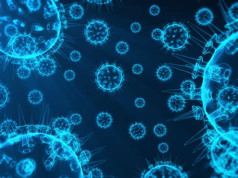 Evolution of Computer Viruses 的图像结果