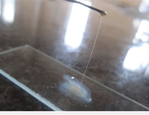 Image result for String Test