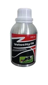 Buy AUROUS Velocity-H Veterinary Feed Supplement for Cow Cattle Poultry ...