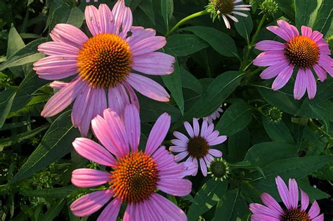 Image result for WinCC Project Examples