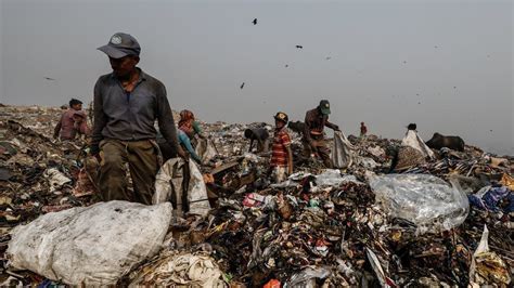 Petition · Stricter laws for dry and wet waste segregation in India ...