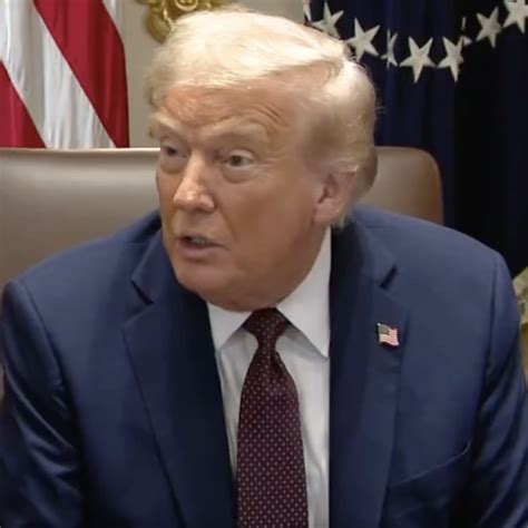 Amanda Balionis Reportedly Got Divorced After Two Years - The Spun