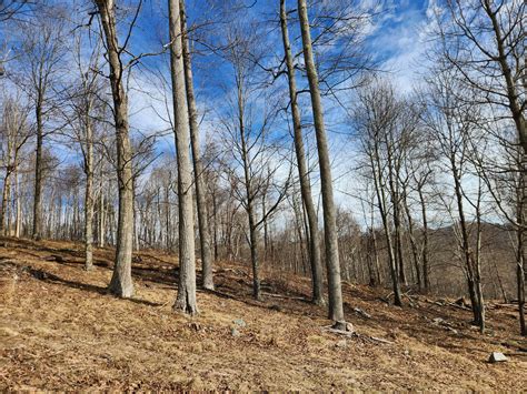 20.15ac - 481 Smith Henson Rd - Sugar Grove, NC | Watauga County ...