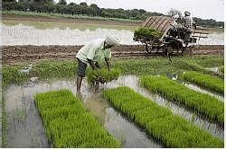 Summary of the Chapter - Crop Production and Management - Class 8 PDF ...