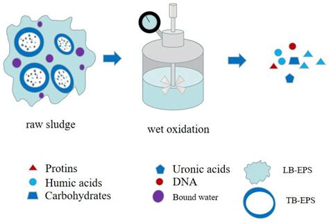 Application of Advanced Oxidation Technology in Sludge Conditioning and ...