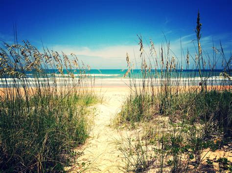 Ormond by the Sea ️ | Natural landmarks, Ormond beach, Favorite places