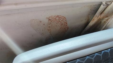 Mumbai: The menace of red stains from pan, gutka in BEST's AC buses