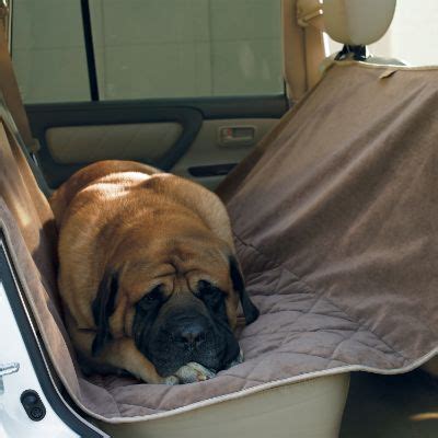 Pet Hammock Seat Protector | Frontgate