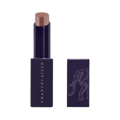 Buy CHANTECAILLE Lip Veil - Tamboti (2.5 g) Online at Best Price in ...