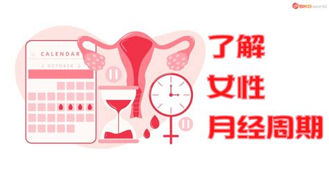 女性月经周期计算表，孕周期怎么算以B超还是末次月经为准 - 科猫网