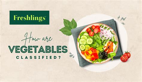 Image result for Methods of Classifying Vegetables