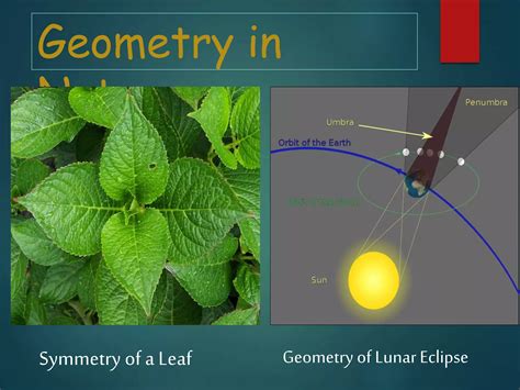 Image result for Geometry Real Life Examples