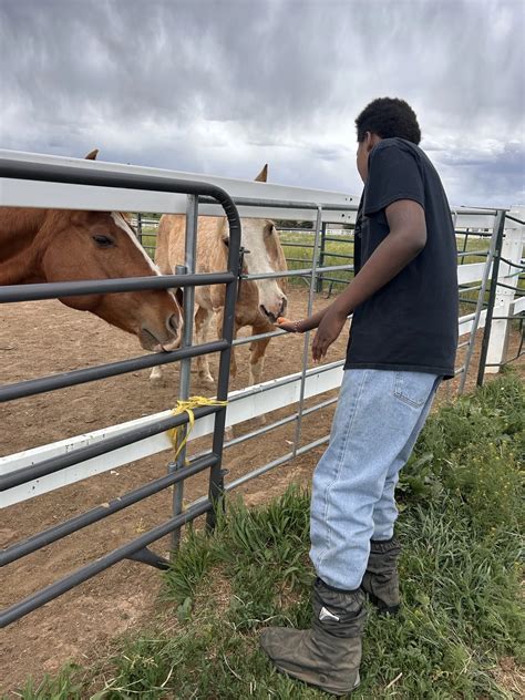 Zuma’s Rescue Ranch — Denver Children's Home